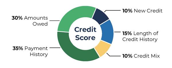 The credit score chart shows the following percentage breakdown:10% New Credit, 15% Length of Credit History, 10% Credit Mix, 35% Payment History, and 30% Amounts Owed