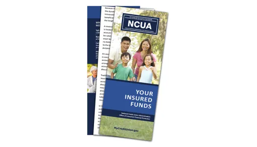 Screenshot of Your Insured Funds Brochure