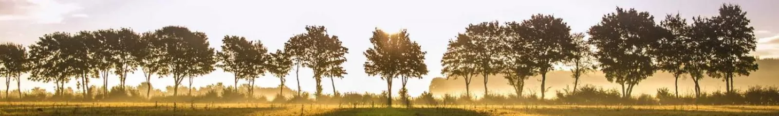 Banner A flat field lined with trees. 